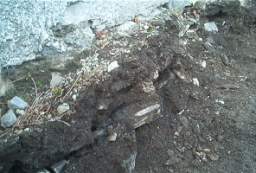 coolross 1295.JPG